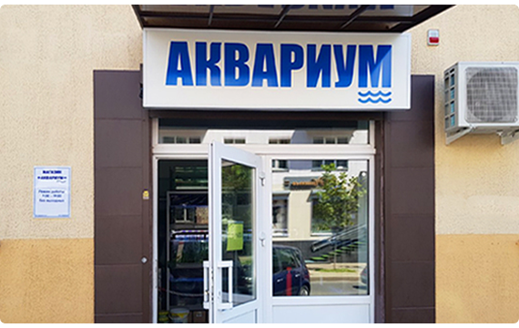 Магазин «Аквариум»