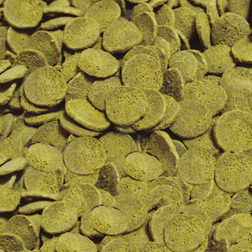 Sera Wels-Chips 100 мл.