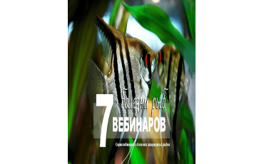 Вебинары о болезнях рыб