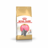 Royal Canin British Shorthair Kitten 400 гр.