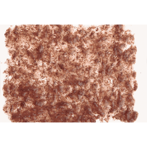 Tetra FreshDelica Brine Shrimps 48г. (16 пакетиков)