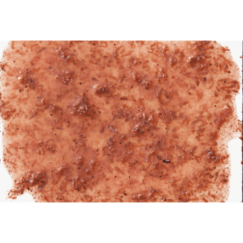 Tetra FreshDelica Krill 48г. (16 пакетиков)
