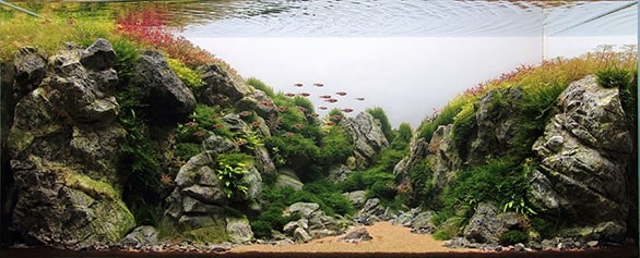 Камни в аквариуме